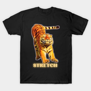 Large tiger doing a stretch exercise - silver gold 1 T-Shirt